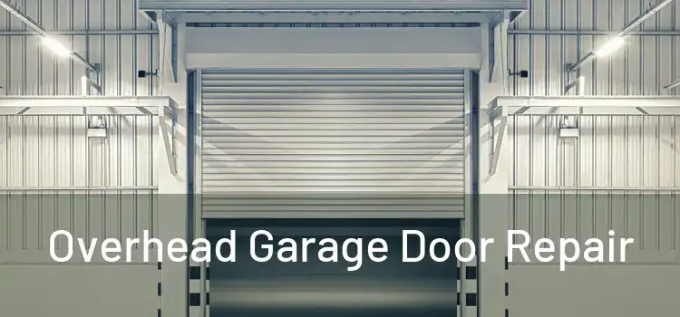  Overhead Garage Door Repair 